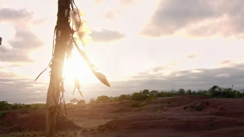 4k close up of walking stick in desert mountain terrain at sunset with sun flare Stock Footage 199619408