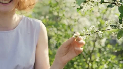 4K Close-up of a woman's hand gently touching a branch with white flowers of a Stock Footage 196657067
