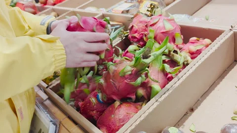 4K Close-Up of a Woman's Hand Selecting Dragon Fruit at Superstore 스톡 동영상 236829416