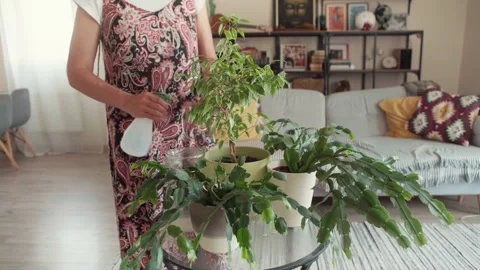 4K close-up of woman’s hands pouring liquid pancake dough while frying on electr Stock-Footage 315815331