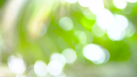 4K. Closeup nature view of green leaf on blurred greenery background in garden 스톡 동영상 139031252