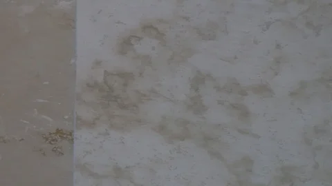 4K Closeup Pan of White and Brown Tile Stock Footage 111277262