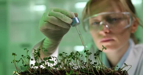 4K Closeup research woman pippeting organic green plants in laboratory room job Stock Footage