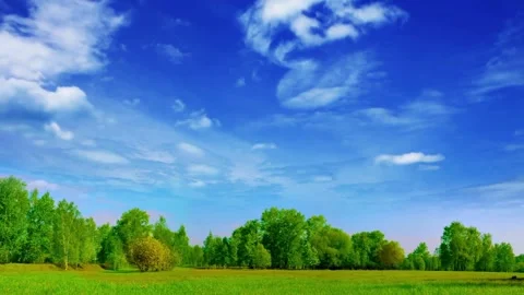 4k Clouds moving in clear blue sky over the green field and trees. Stock Footage 275634089