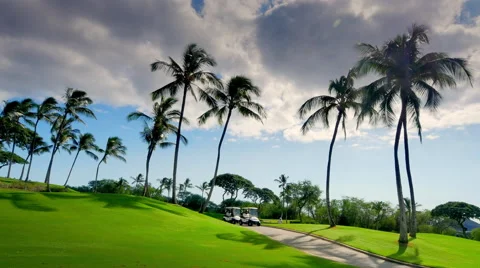 4K Clouds Over Palm Trees and Green Golf Course Landscape Stock-Footage 64698267