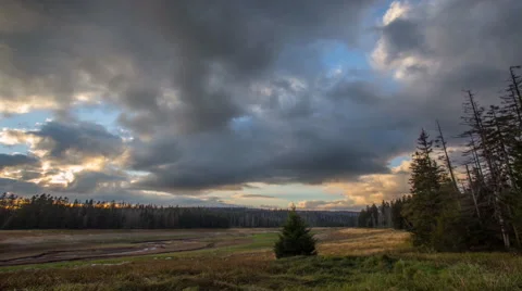 4k Clouds sunset timelapse fertile beautiful open Harz forest landscape Stock Footage