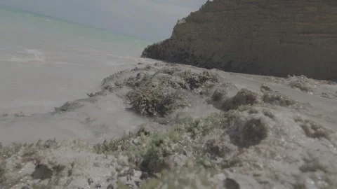 4K coastline seaweed, sand, and rolling waves Stock-Footage 331937853