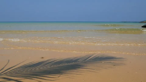 4K. coconut palm tree leaf shadow stretch out over the sandy beach. Stock Footage 132568808