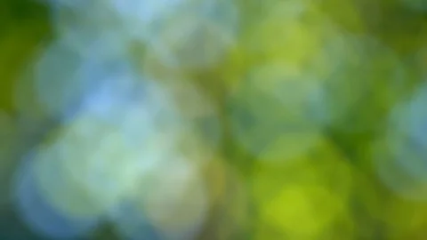 4k Colorful bokeh nature background Stock Footage