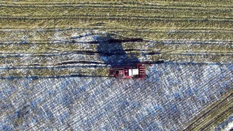 4K. Combine Harvester in the corn field after the First Snow!!! Aerial. Stock-Footage 69767188