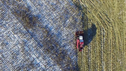 4K. Combine Harvester is working in the corn field after the First Snow! Aerial. Stock Footage 69767094