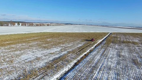4K. Combine Harvester is working in the corn field after the First Snow! Aerial. Video stock 69768951
