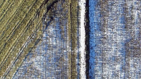 4K. Combine Harvester is working in the corn field after the First Snow! Aerial. 動画素材 69769635