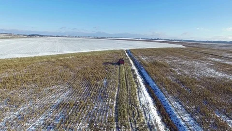 4K. Combine Harvester is working in the corn field after the First Snow! Aerial. Video stock 69769931