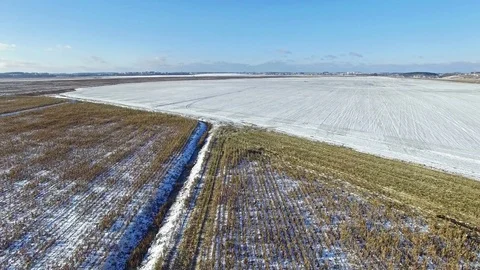 4K. Combine Harvester is working in the corn field after the First Snow! Stock Footage 81609757