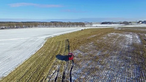 4K. Combine Harvester is working in the corn field after the First Snow. Video stock 81626584