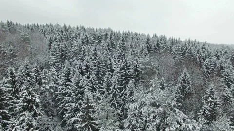 4K Compilation Video. Flight above frozen winter forest on the north, aerial. Stock Footage 85559150