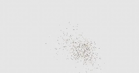 4k confetti explosion gold right include alpha Stock Footage 323586116