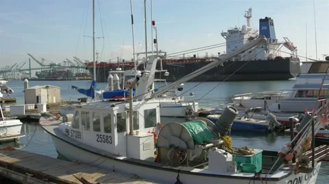 4K Container ship passing through a marina Stock Footage 40106360