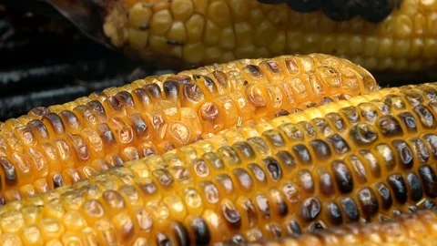 4K. Corn cobs on the grill. The cook moves them and turns them around. Barbecue. Stock Footage 101342470
