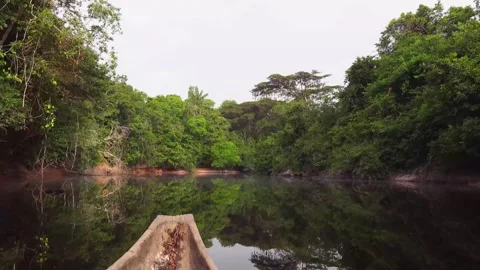 4K Corocoro River Winding Through Dense Amazon Rainforest Ecosystem Stock-Footage 330481147
