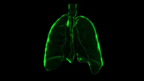 4K Corona Virus Attack The Lungs Animation Stock Footage 127156535