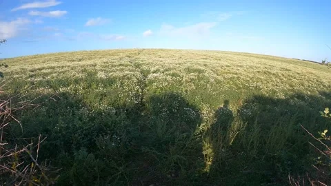 4k countryside Stock Footage 163092936