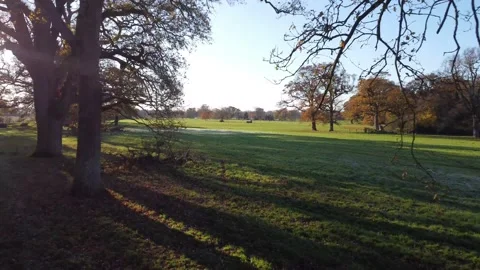 4K COUNTRYSIDE THROUGH THE TREE'S Stock Footage 225518195