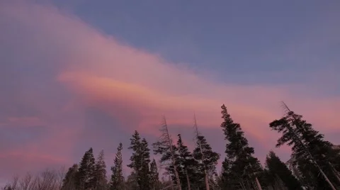 4K crazy red sunset in the forest Stock-Footage 48076610