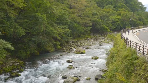 4K : Crear water River Flow in Scenic Japan Forest Stock Footage 119186625