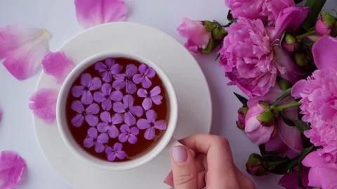 4k Creative layout with pink peonies flowers. Female hand holding cup of tea on Stock Footage 169557692
