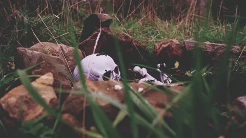 4k Crime Shot of Body Bones on the Ground being Investigated Stock Footage 321860973