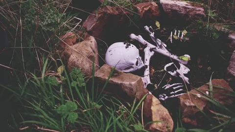 4k Crime Shot of Body Bones on the Ground being Investigated Stock Footage 321860976