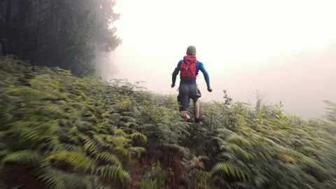 4k Cross country runner man, running and exercising on a misty mountian forest, Stock-Footage 199620657