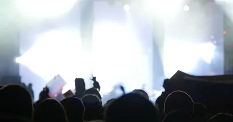 4K - Crowd at rock show Stock Footage 50054361