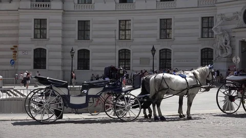 4K Crowded Vienna old town icon traditional horse chariot parking on busy street Stock Footage 73997281