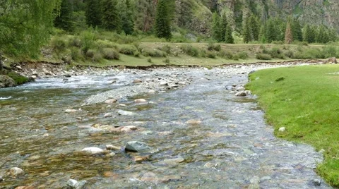 4k – Crystal clear mountain river of Altai 01 Stock Footage 53504578