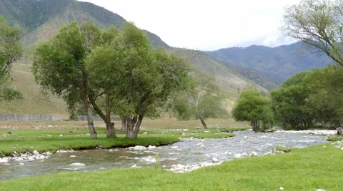 4k – Crystal clear mountain river of Altai 02 Stock Footage 53508906