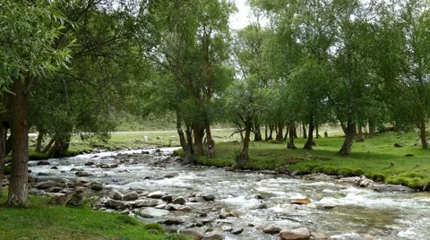 4k – Crystal clear mountain river of Altai 03 Stock Footage 53509869