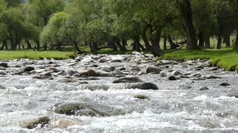4k – Crystal clear mountain river of Altai 03 Stock Footage 53747726