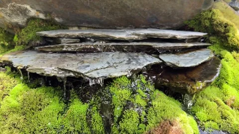 4K Crystal Clear Water Flowing Over Mossy Rock Layers Colombia Macro Nature Stock Footage 340472325