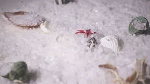 4K crystal sea salt falls to the shells Stock Footage 71174331