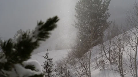 4K: Crystalized Snowflakes Pan Up Stock Footage 72841614