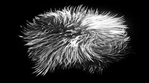 4K curly effect bw Stock Footage 122891750