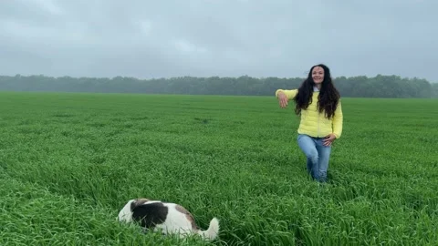 4k Cute girl walking with a dog in a green field and calling somebody. Stock Footage 155806053