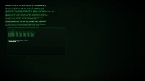 4K Cyber Security Ethical Hacking Terminal and Code Execution Loop Video stock 344642333