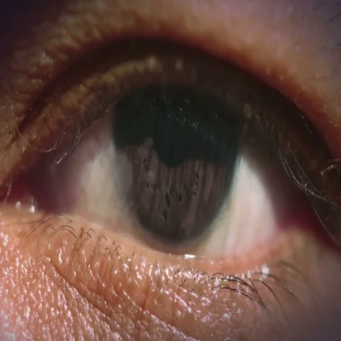 4K Cybernetic brain. Vidéo 69389912