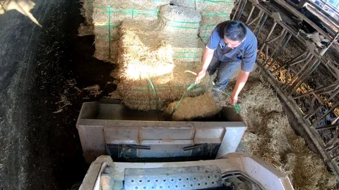 4K, Dairy farmer driving tractor in modern stable. Peasant work in farm -Dan Stock Footage 102278571
