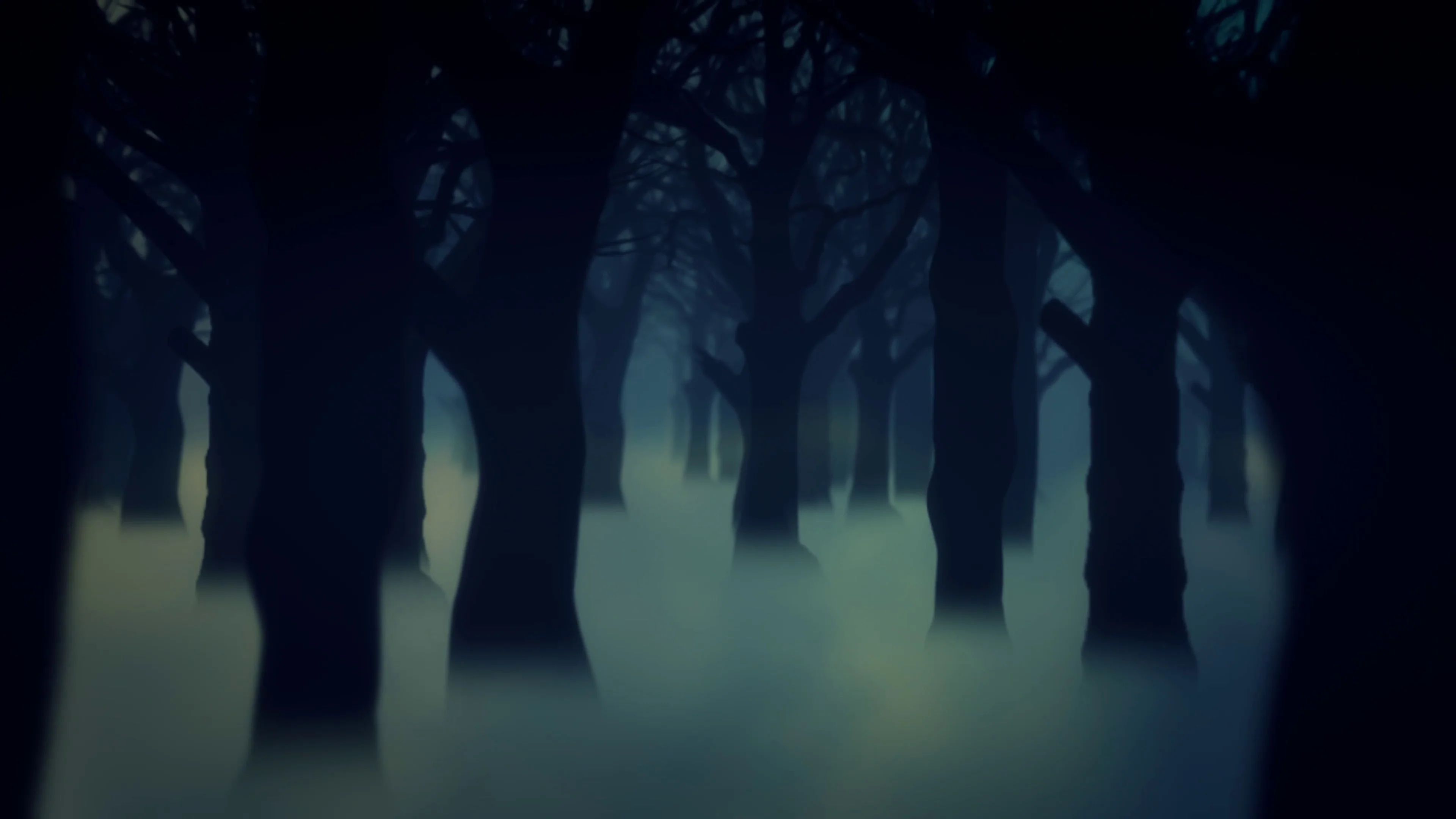 4K Dark Forest Fog Trees Animated Backgr... | Stock Video | Pond5