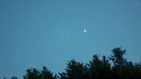 4K Day to Night Time lapse of the moon and the stars above the trees of Pine  Stockbeeldmateriaal 168525873